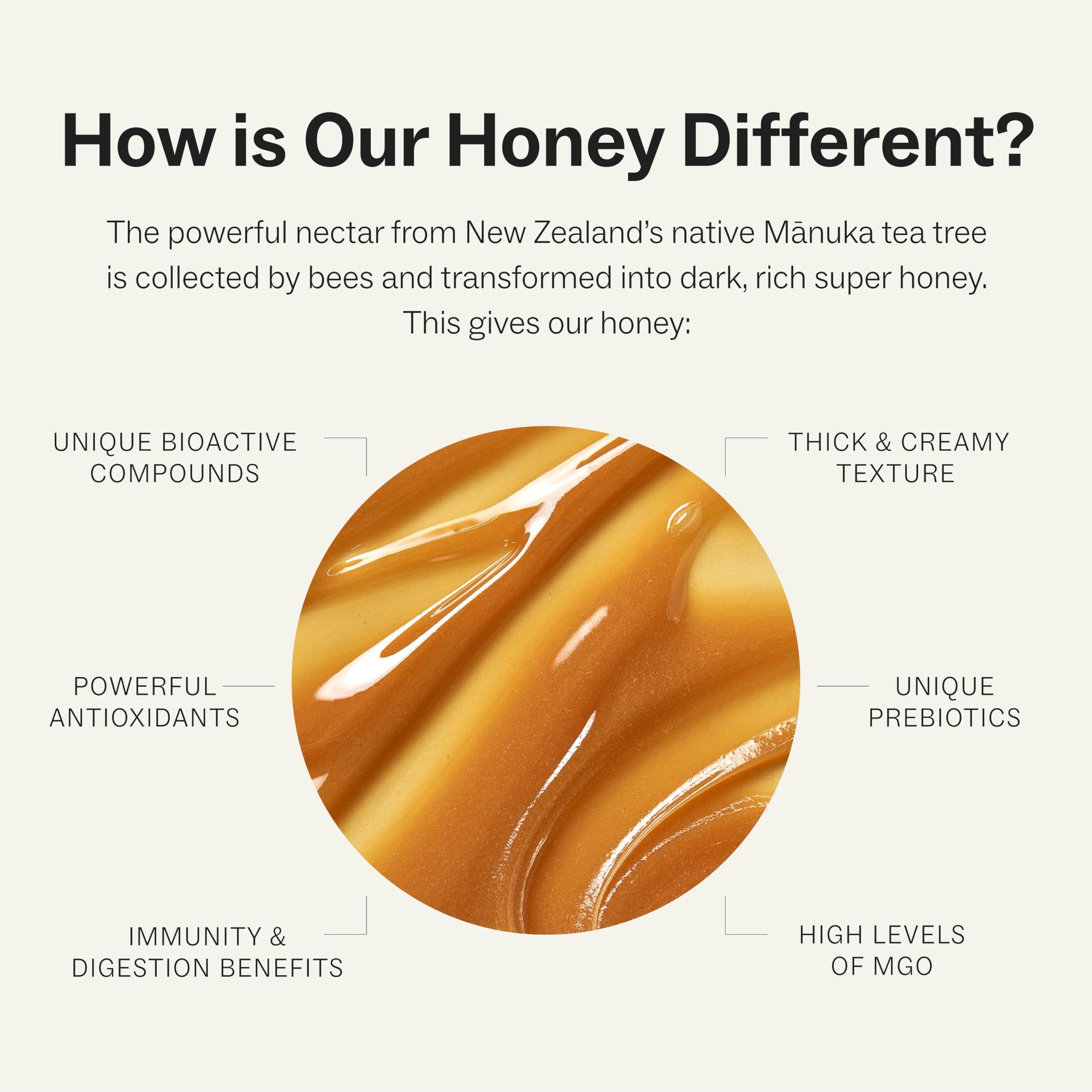 Manukora Raw Manuka Honey, MGO 50+, New Zealand Honey, Non-GMO, Traceable from Hive to Hand, Daily Wellness Support - 500g (1.1 Lb)