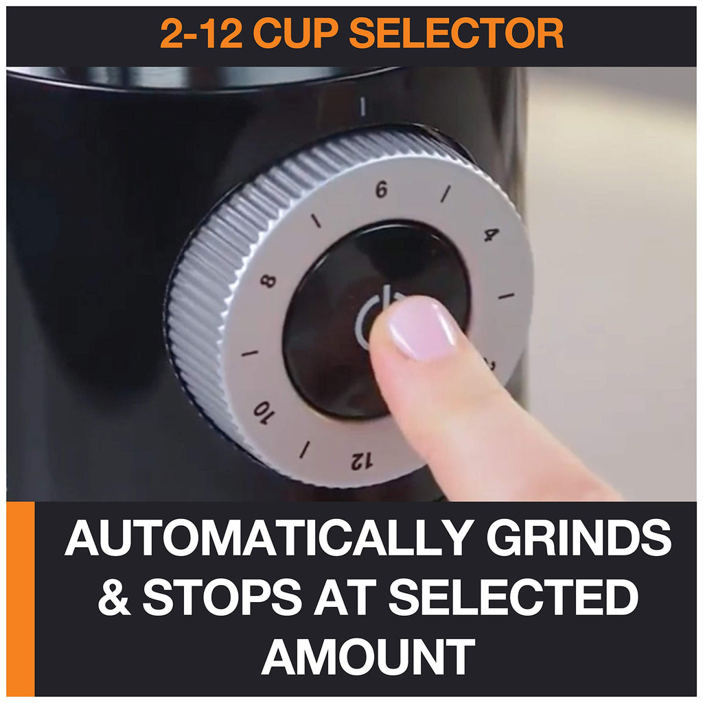 KRUPS Precision Burr Coffee Grinder: 12 Settings, 8 oz Capacity for Drip, French Press, Espresso, Pour Over, Cold Brew - Stainless Steel, 110W, Auto-Stop, Easy Clean